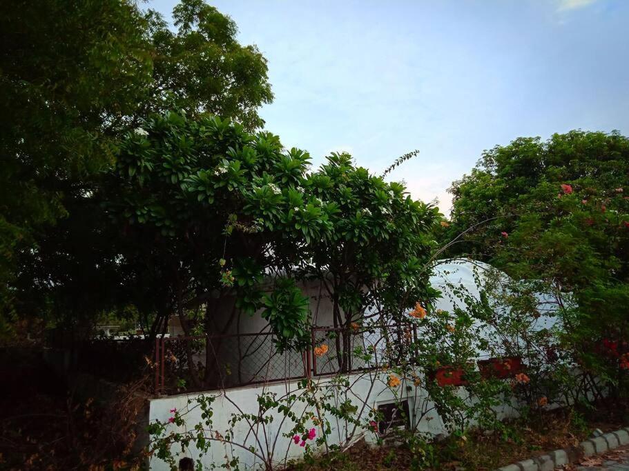 Mamta'S Home- Kensville Nānodra Extérieur photo