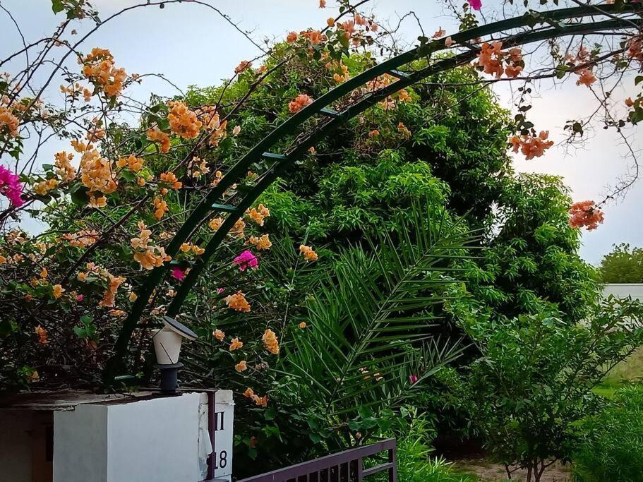 Mamta'S Home- Kensville Nānodra Extérieur photo