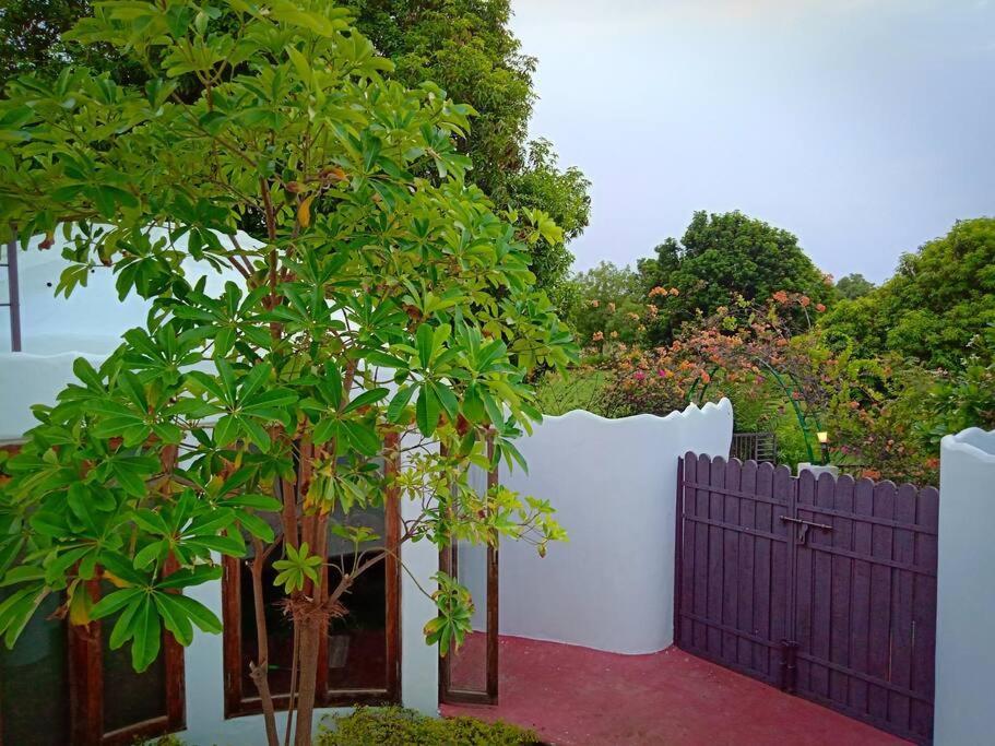 Mamta'S Home- Kensville Nānodra Extérieur photo